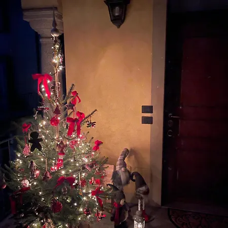 Acacia Tree Il Tuo Rifugio Sul Maggiore 公寓 莱萨